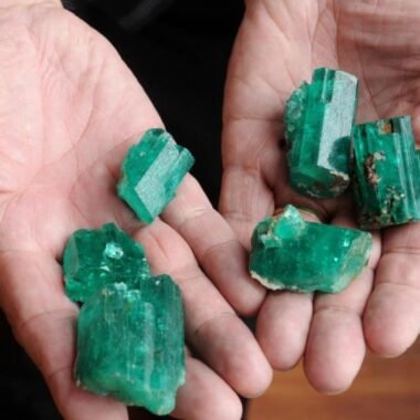 Interesting Facts on Iranian Firoza – You Might Not Miss